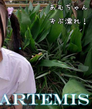 ARTMF-026姫崎あむ